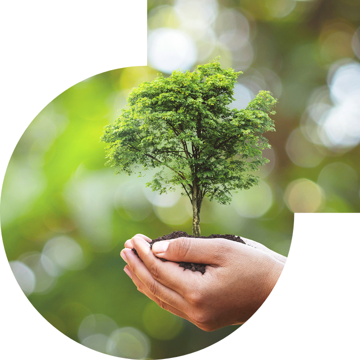 關懷人類、文化、環境與社會